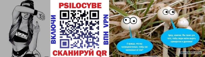 Галлюциногенные грибы ЛСД где продают Заречный